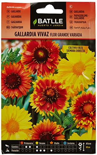 Semillas Batlle 093802BOLS