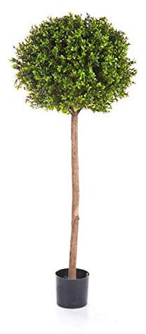artplants.de Konstgjord buxbom Tom, 1730 blad, 140 cm, Ø 50 cm