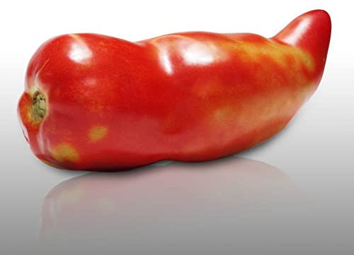 25 graines à semer - Le Grenier d'Abondance - TOMATE Cornue des Andes - fruits allongés et juteux