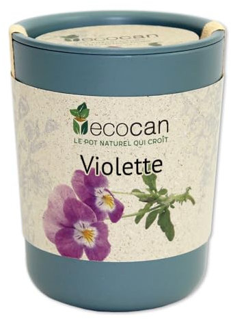 Feel Green Ecocan, Violette Certifiées Bio, Idée Cadeau (100% Biodégradable), Grow-Your-Own/Kit Prêt-à-Pousser, Le Pot Écologique Qui Croît 9 x 7 cm, Produit en Autriche