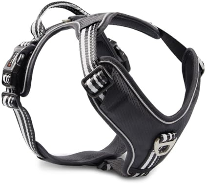 Wolters Geschirr Active Pro, Größe:55-65 cm, Farbe:schwarz/schwarz