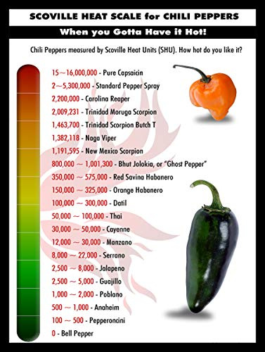 SCOVILLE HEAT SCALE FOR CHILLI PEPPERS RETRO METAL TIN WALL PLAQUE SIGN NOVELTY GIFT Home bar kitchen shed man cave (10 x 8)