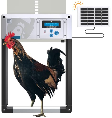 Hühnerklappe Automatisch ChickenGuard All-in-One, Hühnerstalltürfarben in Vier Farben, Timer/Lichtsensor, Auto-Stop, Raubtiersicher, Wintermodus-Power-Boost, Batterien Enthalten (Grau Solar)