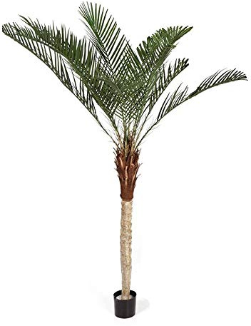 artplants.de Konstgjord Phoenix-palm, ljus stam, 180 cm