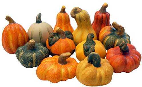 khevga - Decorazione autunnale, zucca decorativa, in terracotta, set da 12 pezzi