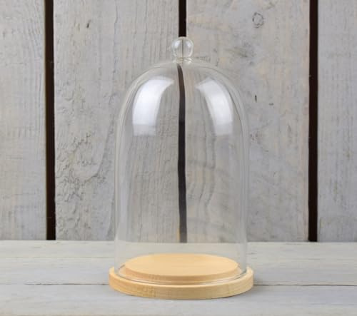 EMH Campana pequeña de cristal con pomo y base de madera natural, 17,5 x 10 cm