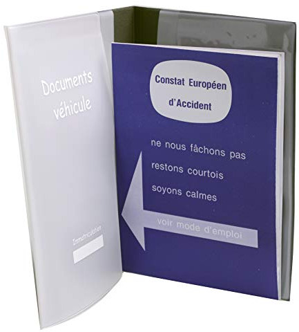 AUXENCE Dokumentenhalter für Fahrzeug (Aufbewahrungsbox, Serviceheft, Herstellerbuch, Europäischer Konstant)