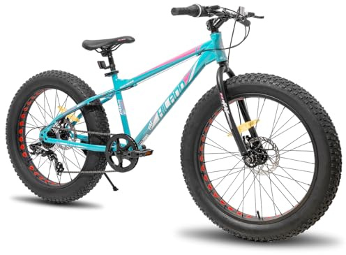 Hiland Vélo de Montagne 20 , 7 Vitesses, Freins à Disque Double pour garçons et Filles, argenté/Vert/Blanc/Bleu (Vert)