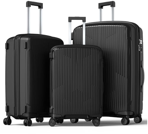 Nazhura Luggage Set, 3-Piece Hardside Suitcase Set, 20-inch Carry On, 24-inch, 28-inch Luggage (Dark Grey)