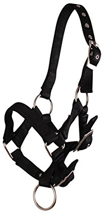 QHP Fohlenhalfter Halfter Fohlen Nylonhalfter 4 Fohlengrößen 6 Farben (Shetty Fohlen, schwarz)