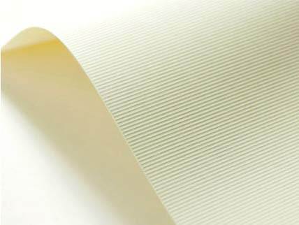 Netuno 20x Strukturkarton Creme gerippt DIN A4 21 x 29,7 cm 246g Elfenbeinkarton Chamois Bastelkarton strukturiert für Visitenkarten Einladungs-Karten Hochzeit Geburtstag Weihnachten