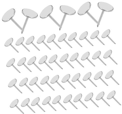 HEALLILY 100pezzi Puntine Decorative Testa Piatta Per Mobili e Legno Chiodi Testa Piatta Per Tappezzeria e Decorazioni Murali