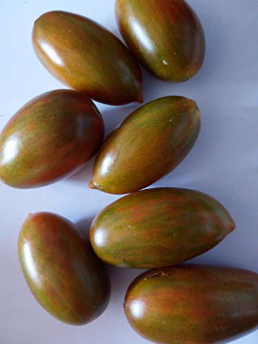 SEMI POMODORO ZEBRINO LUNGO