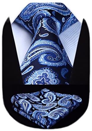 HISDERN Cravatte uomo Paisley Floreale Cravatta Fazzoletto Set