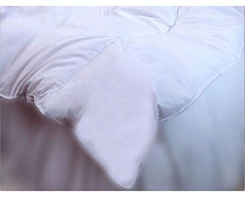 Dorte Hogar Relleno nórdico Gobi Ferdown Duvet 90% Plumón Duvet 10% Pluma pequeña de Ganso Tejido Exterior Algodon Batista (Cama 105 cm - 180 x 220)