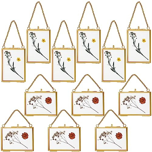 Kigley Double Glass Frame for Pressed Flowers Floating Hanging Photo Frame Gift for Graduation Mother's Day 3.5 x 2.5 in Brass Clear Decor with Chain for Display Gallery Artwork (Gold,12 Pcs)