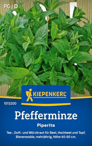 Kiepenkerl Pfefferminzesamen Piperita 1013200 - mehrjähriges Tee- Duft- und Würzkraut mit einer Wuchshöhe von 40 bis 60 cm - Kräutersamen, Saatgut, Samen Kräuter