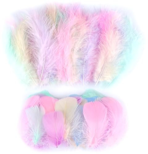 RISF 650 Stück Federn zum Basteln, Macaron Farben Federn, Bastelfedern, 5-15cm Bunte Federn zum Basteln für DIY Handwerk, Traumfänger, Hochzeit