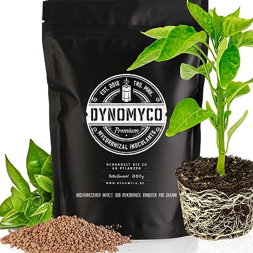 Inoculant mycorhizien de DYNOMYCO – Souches hautes performances – Formule concentrée – Améliore l'absorption des nutriments – Augmente les rendements des plantes (340 g/Up to 68 Plants)