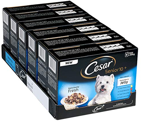 Cesar 10+ Deliciously Fresh Wet Dog Food for Senior dogs, Mixed Selection in Jelly, 48 Pouches (48 x 100 g)