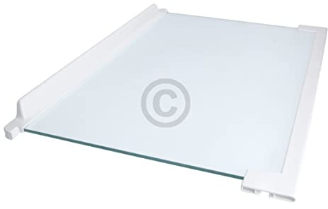 eVendix Piastra in vetro per frigorifero, compatibile con Electrolux 225163920/5, 460 x 300 mm, con listelli per frigorifero