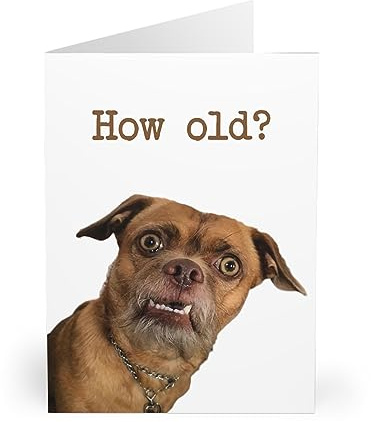 Funny Dog Birthday Card How Old? – Hilarious Greeting for Friends & Family – 6x8 Inches, Blank Inside, UK Made