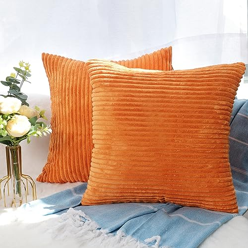 CALIYO Kissenhülle Kord Uni 2er Set, Kissenbezug 40x40 Kissenbezüge für Zierkissen Dekokissen Sofakissen Couchkissen in vielen Farben.