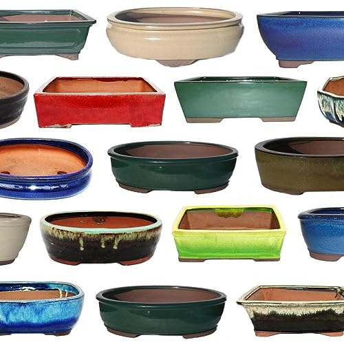 Bonsai-Schale Größe 1 - SONDERPOSTEN - Zufallsform und Zufallsfarbe - L ca. 12cm - B ca. 9,5cm - H ca. 4,5cm