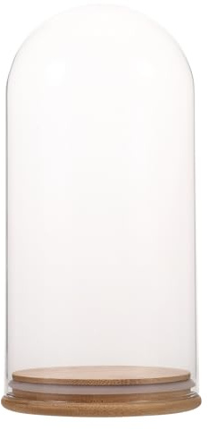 Gadpiparty Cupola di Vetro Trasparente con Base in Legno 10X20 CM Campana di Vetro per Esposizione e Decorazione della Stanza Espositore Protettivo per Fiori e Oggetti da Collezione
