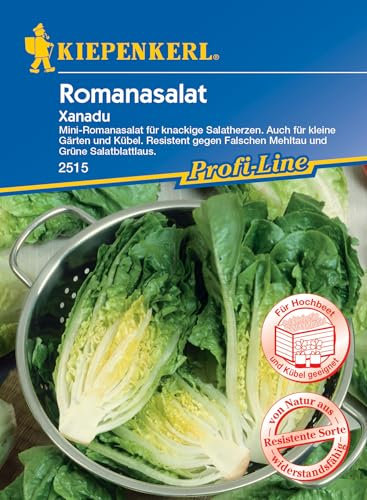Kiepenkerl Profi-Line Romanasalatsamen Xanadu 2515 - Resistente Salatsamen, knackige Salatherzen, ideal für kleine Gärten, mild-nussiger Geschmack