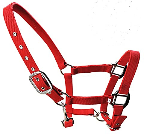 tooloflife Halfter für Fohlen, Pony, Esel, verstellbar, gepolstert, Nylon, Gr. M, Rot