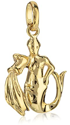 NKlaus Kettenanhänger kleines Sternzeichen Wassermann 333 Gelb Gold 8 Karat 16x12mm Horoskop 1237