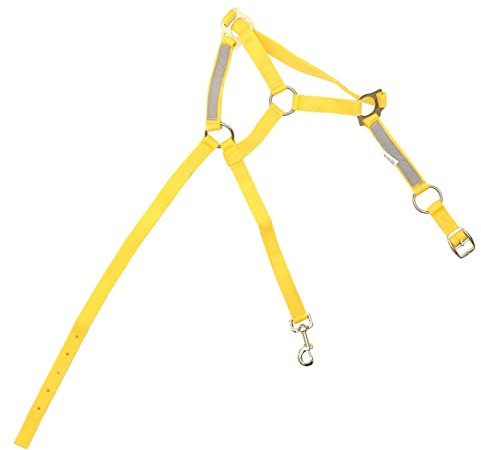 TOGEVAL Des Pp-gurtmaterials Für Pferde Bei Nachtfahrten Und Straßensichtbarkeit