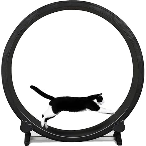 FM Feline Motion Cat Exercise Wheel - Energetic Cat Treadmill Running Machine