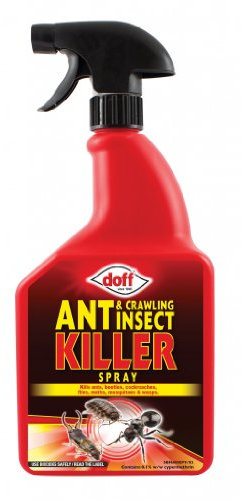 Doff Ant & Crawling Insect Killer Spray – 1 Litre – Ready-to-Use Insect Killer Insecticide – Targets Crawling & Flying Insects - Ants, Cockroaches, Beetles, Flies, Mosquitoes – Indoors & Outdoors