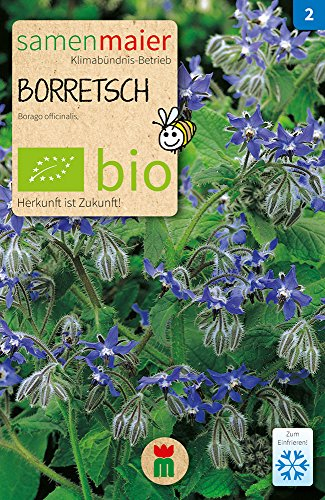 BIO Borretsch Samen - Einjähriges Gurkenkraut, Höhe ca. 80 cm - Aussaat März bis Juli, Ernte Mai bis Oktober - Reicht für ca. 8 Pflanzen - Samen Maier