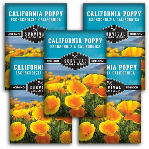Survival Garden Seeds - California Poppy Seeds for Planting - 5 Packets with Instructions to Grow Eschscholzia Californica Plants in Your Home Flower Garden - Non-GMO Heirloom Wildflower Variety