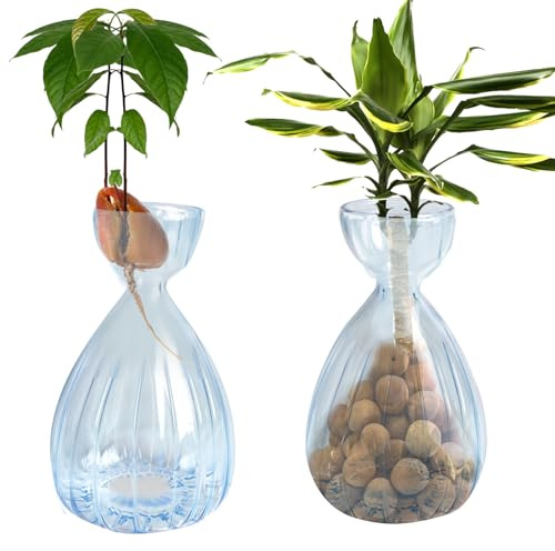 JOJOCY 2Pcs Avocado Seed Sprout Starter Vase, Striped Style Avocado Tree Growing Glass Vases, Glass Bulb Vase for Home Table Desk Indoor Decor (2 Blue)