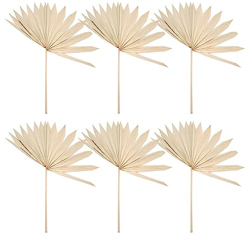 Asyduey 6 Piezas Grandes Hojas de Palma Secas Abanicos de Palma Secos Naturales Ramo de Flores Secas Decoraciones de Boda Hojas de Palma de Abanico Secas