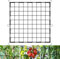 OFFCUP Elastic Trellis Net, 90 * 90cm Garden Netting Mesh with 6 Hooks, Grow Tent Net Ccucumber Trellis Pea Netting for Gardening Indoor Outdoor Plant