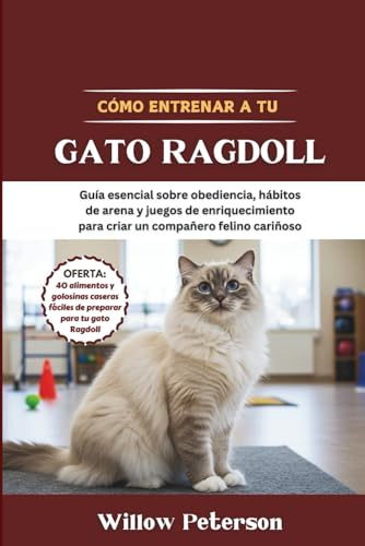 Cómo entrenar a tu gato Ragdoll: Guía esencial sobre obediencia, hábitos de arena y juegos de enriquecimiento para criar un compañero felino cariñoso