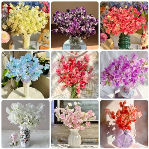 Semi di pisello dolce, Semi di pisello odoroso resistenti, per luoghi soleggiati semi di decorazione soggiorno serre da balcone 20pcs