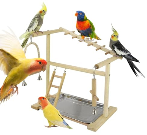 Parque para Aves,Juguetes De Madera con Columpios Y Escaleras,con Bandeja Y Taza Extraíbles De Acero Inoxidable para Periquitos | para Posar, Roer, Trepar Y Afilar Accesorios para Jaula Interior