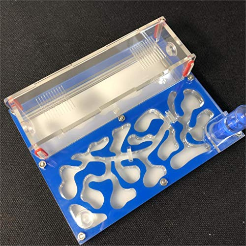 Formicarium Naturelle pour Ferme à Fourmis pour Tube à essai de Fourmis Live Humidité Grand Espace Nid de Fourmis en Acrylique, Fourmilière Insectes (Bleu Ciel)