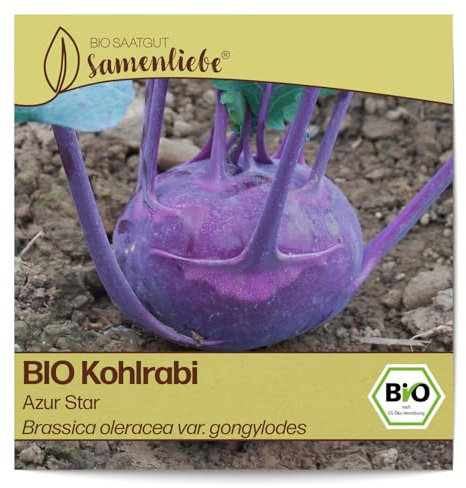 Samenliebe BIO Kohlrabi Samen Azur Star fein süßer Freilandkohlrabi Kohl blau violett 100 Samen samenfestes Gemüse Saatgut für Gewächshaus Freiland und Balkon BIO Gemüsesamen