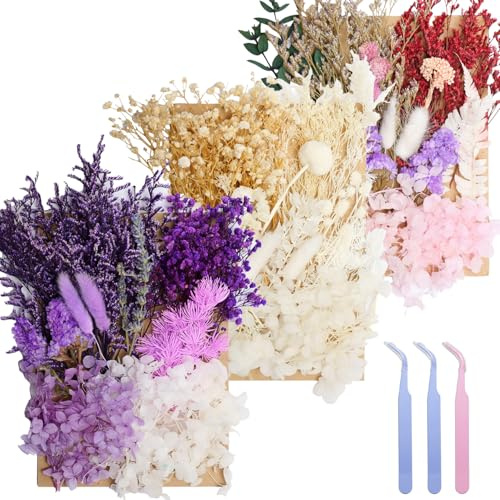 Real Dried Flowers for Resin 3Pack, Natural Pressed Flowers | Natural mixed dried flower pack with tweezers for DIY resin crafts, jewelry & candles(Multicolor White Purple).
