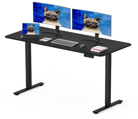 SANODESK Q1 Escritorio Elevable Eléctrico 120 x 60 cm, con Tablero Entero, Altura Ajustable, con 4 preajustes de Memoria de Altura, Panel Inteligente, Ideal para Oficina en casa (Negro)