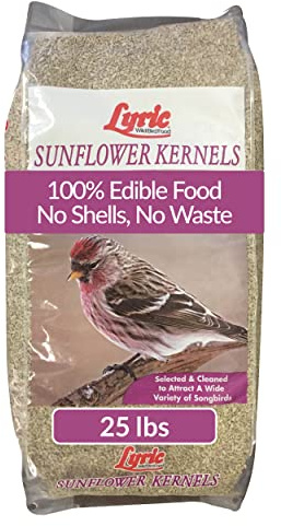 Lyric Sunflower Kernels Wild Bird Seed for Outside Feeders, No Waste Bird Food, Attracts Finches and More, 25 lb Bag