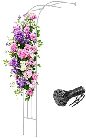 Arche de jardin pour plantes grimpantes, treillis pour roses, tonnelle d'extérieur en blanc, 60 x 240 cm, design robuste demi-arche pour améliorer l'esthétique du jardin