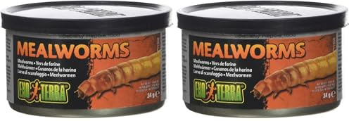 Exo Terra Gusanos de harina cocidos en Lata, alimento Individual para Reptiles, 34 g (Paquete de 2)